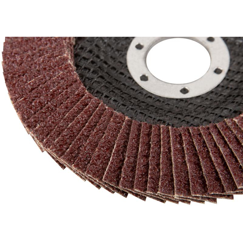 Круг лепестковый торцевой 125 мм P 24