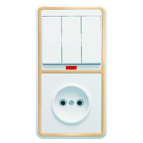 Блок БКВР-212 Бэлла (3-кл. выкл. с инд. + розетка) зол. Кунцево 5842