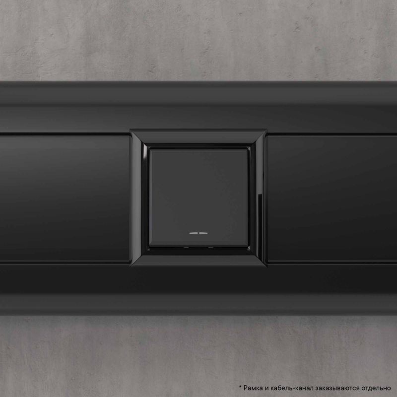 Avanti Инвертор одноклавишный модульный Черный матовый 2 модуля (Переключатель сх.7) (4412122)