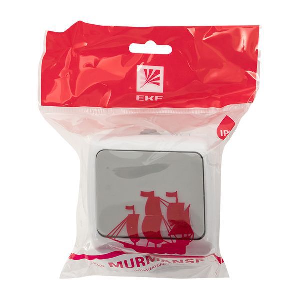 Кнопка звонка Мурманск 1-клавишная 10А IP54 серая (EFZ10-026-30-54)