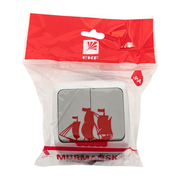 Выключатель Мурманск 2-клавишный 10А IP54 серый (EFV10-023-30-54)