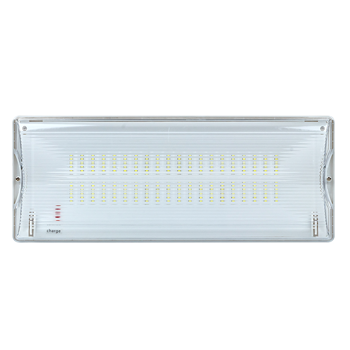 Светильник аварийного освещения SAFEWAY-40 LED EKF Proxima (dpa-202)