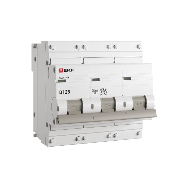 Автоматический выключатель ВА 47-100 2P 125А (D) 10kA EKF PROxima (mcb47100-2-125D-pro)
