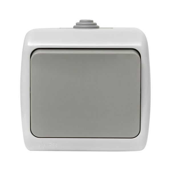 Выключатель 1-кл. ОП Мурманск 10А IP54 сер. EKF EFV10-021-30-54