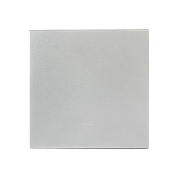 Панель лицевая Валенсия для выключателя 1-кл. 10А сталь PROxima EKF ESV10-L-021-30