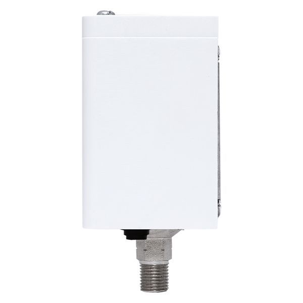 Реле избыточного давления EKF RVG-20-1,6 (1,6 МПа) (RVG-20-1,6)