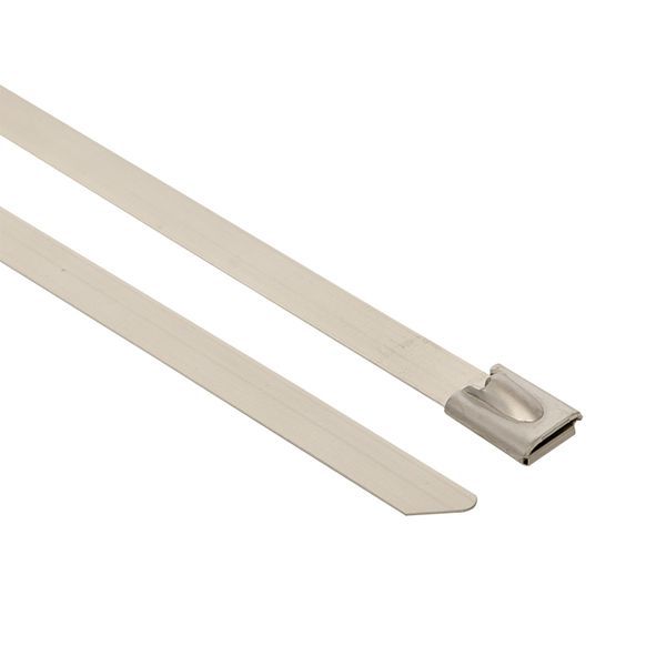 Хомут AISI 304 из нержавеющей стали, 4.6x200 (100 шт.) FlexLock PROxima (plc-fl-tss-304-4.6x200)