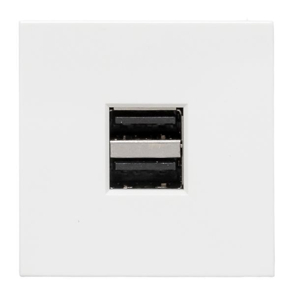 Розетка USB, сила тока 2.1 А (2 гнезда) без индикатора (E2MR2-20USB-10)