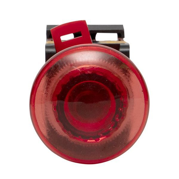 Кнопка AELA-22 "Грибок" красн. с подсветкой NO+NC 220В EKF pbn-aela-1r-220