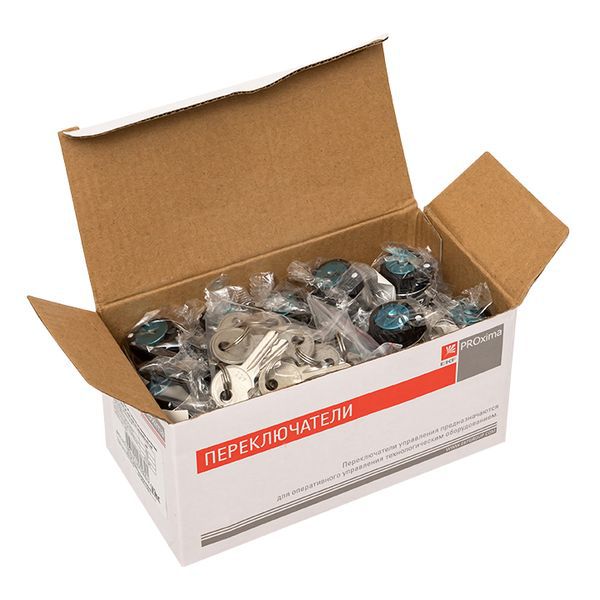 Переключатель BG61 2P с замком (возврат.) EKF xb2-bg61