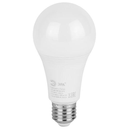 Лампа светодиодная ECO LED A65-25W-865-E27 R (диод груша 25Вт холодн. E27) (10/100/1200) Эра Б0048011