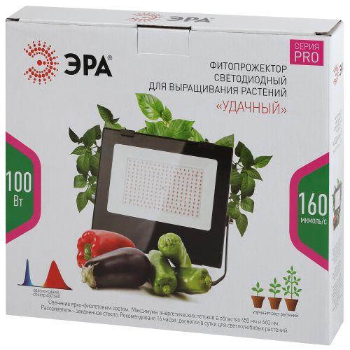 Прожектор красно-синего спектра FITO-100W-RB-LED ЭРА (Б0046369)