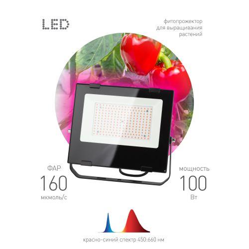 Прожектор красно-синего спектра FITO-100W-RB-LED ЭРА (Б0046369)