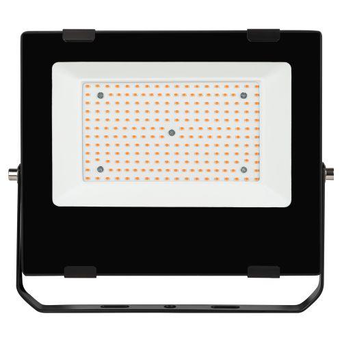 Прожектор красно-синего спектра FITO-100W-RB-LED ЭРА (Б0046369)