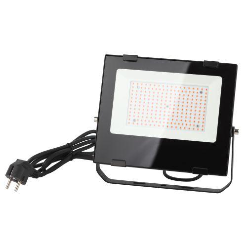 Прожектор красно-синего спектра FITO-100W-RB-LED ЭРА (Б0046369)