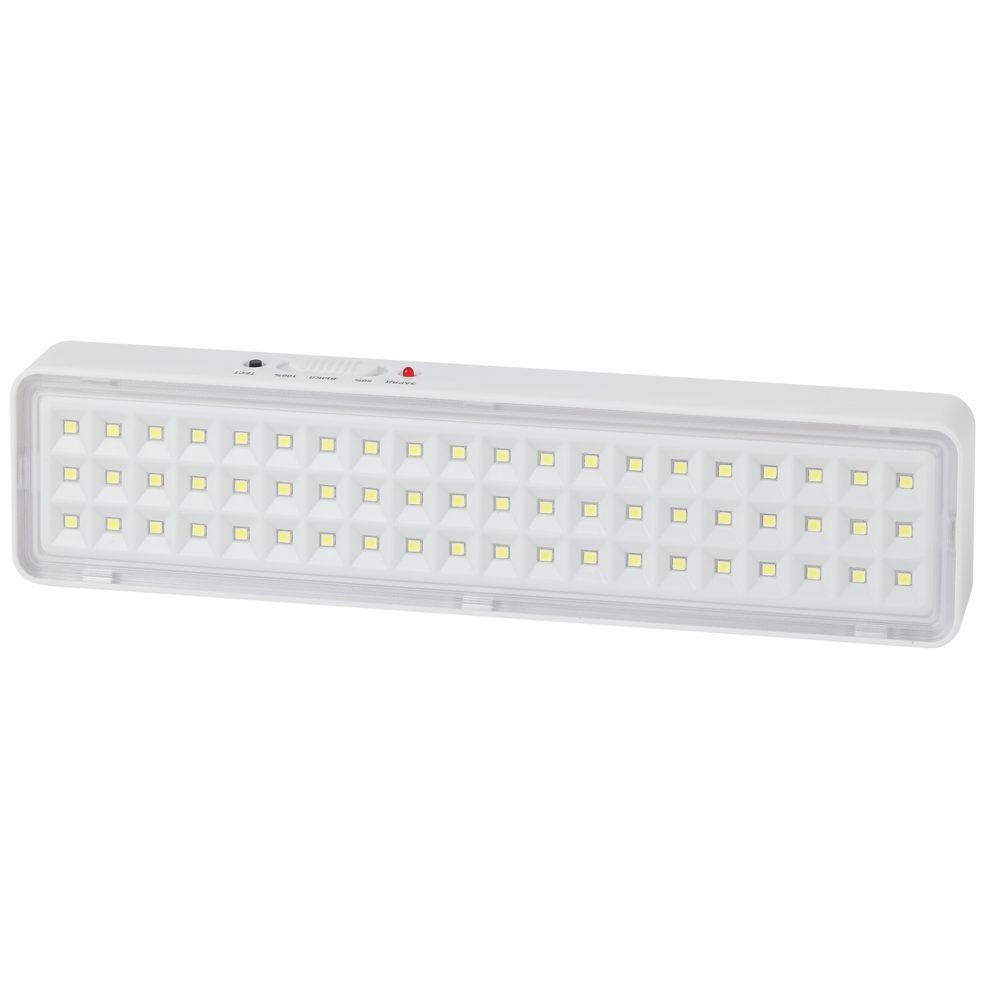 Светильник светодиодный аварийный непостоянный DBA-103-0-20 60LED 5ч IP20 (40/1600) ЭРА (Б0044396)