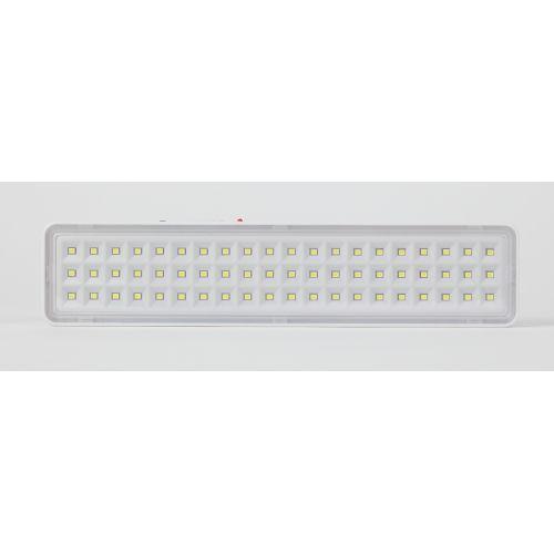 Светильник светодиодный аварийный непостоянный DBA-103-0-20 60LED 5ч IP20 (40/1600) ЭРА (Б0044396)