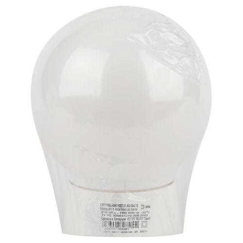 Светильник НБП 01-60-004 с наклонным основанием Гранат полиэтилен IP20 E27 max 60 (Б0052011)