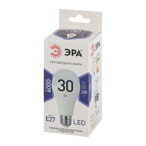 Лампа светодиодная LED A65-30W-860-E27 A65 30Вт груша E27 холод. бел. ЭРА Б0048017