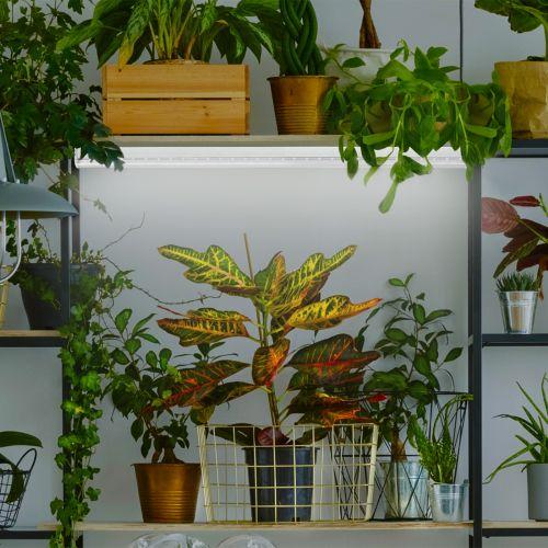 Лампа светодиодная FITO-9W-Ra90-Т8-G13-NL 9Вт T8 линейная 46LED 2835 IP20 35000ч для растений полноспектральная стекло Эра Б0042988