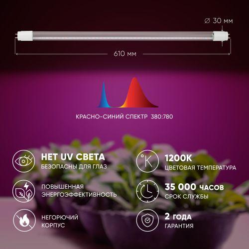 Лампа светодиодная FITO-9W-RB-Т8-G13-NL 9Вт T8 линейная 48LED 2835 IP20 35000ч для растений красн./син. спектр стекло Эра Б0042986