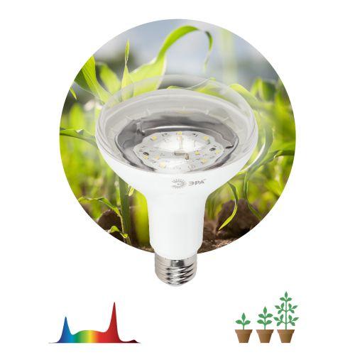 Лампа светодиодная FITO-15W-Ra90-E27 15Вт BR30 E27 220-240В для растений полноспектральная бел. спектр Эра Б0039173