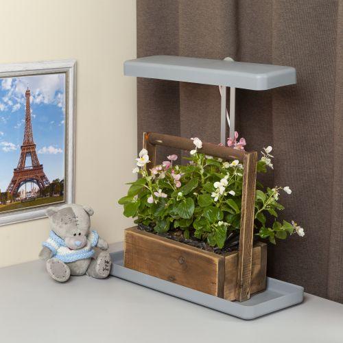 Светильник светодиодный для выращивания растений FITO-20W-QLED-G ЭРА (Б0039035)