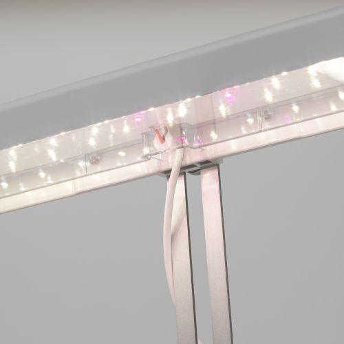 Светильник светодиодный для выращивания растений FITO-20W-QLED-W ЭРА (Б0039034)