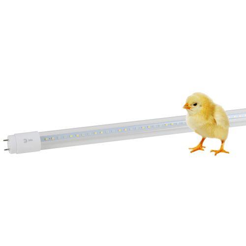 Лампа светодиодная FITO-18W-Ra90-Т8-G13-NL 18Вт T8 линейная 92LED 2835 IP20 35000ч для растений полноспектральная стекло Эра Б0042987