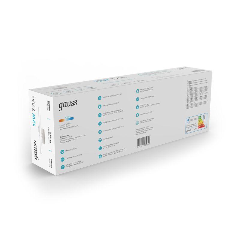 Светильник светодиодный настенный ДПБ-12 Вт 700 Лм 200-240 В 550 мм LED акцентный BR023 Medea Gauss (BR023)