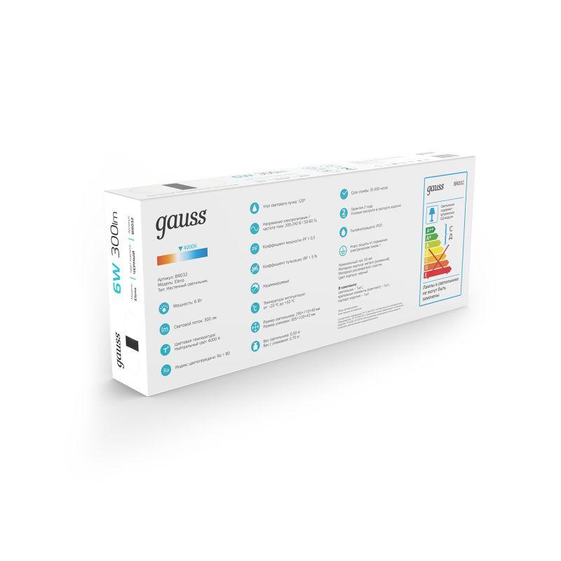 Светильник светодиодный настенный ДПБ-6 Вт 300 Лм 200-240 В 290 мм LED акцентный BR032 Elena Gauss (BR032)