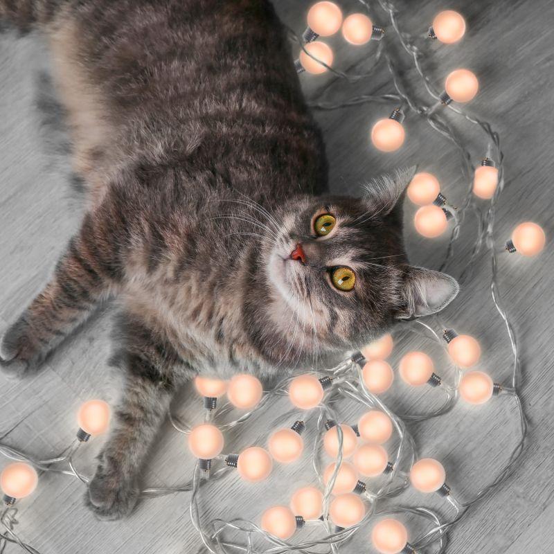 Гирлянда садовая на солнечной батарее LED 20 ламп Большие шары IP44 белый свет Solar Gauss (GS034)