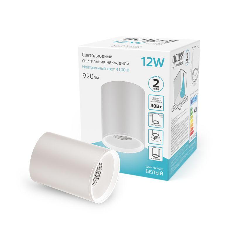 Светильник светодиодный ДПО 12 Вт 920 Лм 4100К цилинндр накладной 170-240 В 79х100 мм IP20 белый LED Overhead Gauss (HD011)