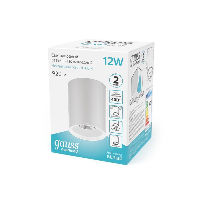 Светильник светодиодный ДПО 12 Вт 920 Лм 4100К цилинндр накладной 170-240 В 79х100 мм IP20 белый LED Overhead Gauss (HD011)