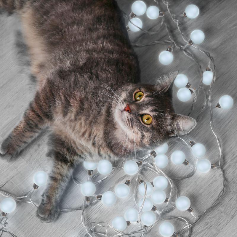 Гирлянда садовая на солнечной батарее LED 10 ламп Большие шары IP44 белый свет Solar Gauss