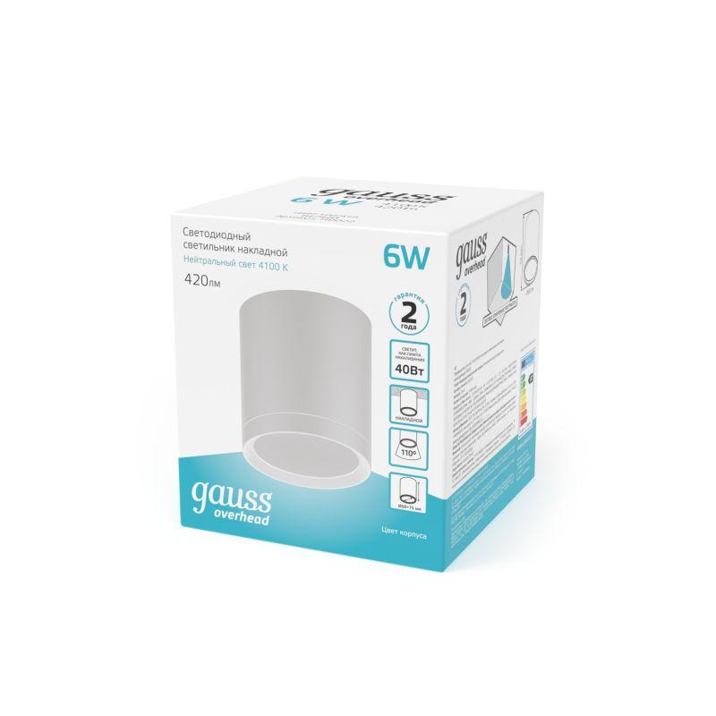Светильник светодиодный ДПО 6 Вт 420 Лм 4100К цилинндр накладной 170-240 В 68х75 мм IP20 белый с рассеивателем LED Overhead Gauss (HD022)