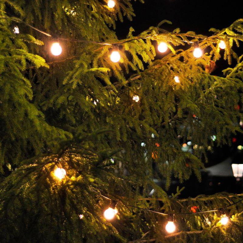 Гирлянда садовая на солнечной батарее LED 30 ламп шары IP44 белый свет Solar Gauss (GS032)