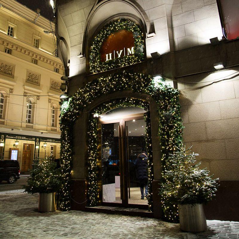 Гирлянда "Еловый шлейф с шишками" 2.75м d41см 300 веток NEON-NIGHT 307-221