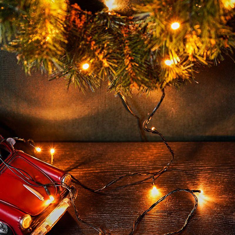 Гирлянда светодиодная "Твинкл Лайт" 4м 25LED тепл. бел. 2Вт 230В IP20 с контроллером 8 режимов провод ПВХ темн. зел. Neon-Night 303-016