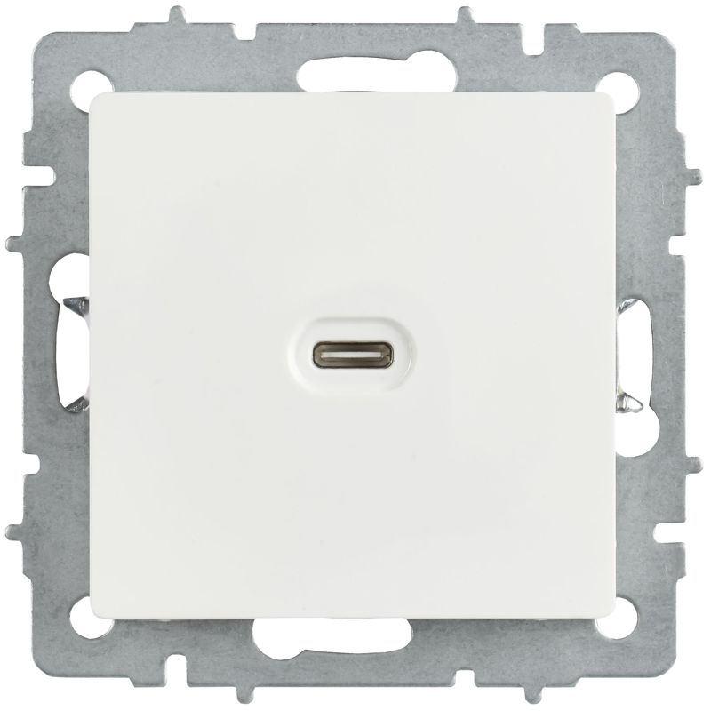 BRITE Розетка USB C 65Вт высокоскоростная зарядка РЮ12-1-БрБ белый IEK