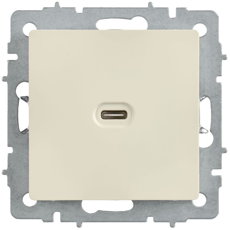 BRITE Розетка USB C 65Вт высокоскоростная зарядка РЮ12-1-БрКр бежевый IEK