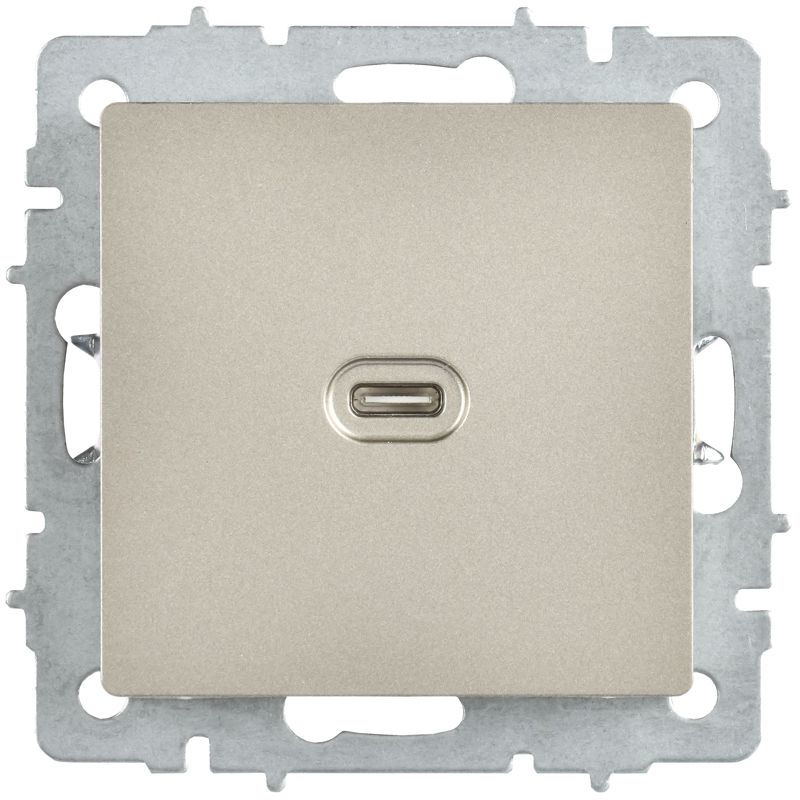 BRITE Розетка USB C 65Вт высокоскоростная зарядка РЮ12-1-БрШ шампань IEK