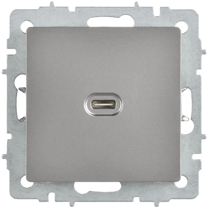 BRITE Розетка USB C 65Вт высокоскоростная зарядка РЮ12-1-БрС сталь IEK