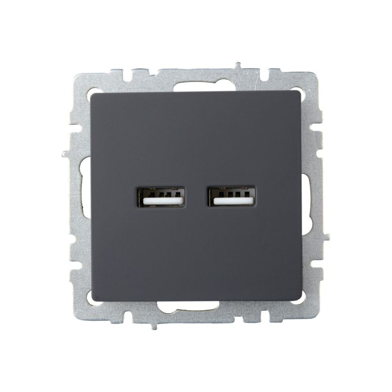 BRITE Розетка USB A+A 5В 3,1А РЮ10-1-БрГ графит IEK