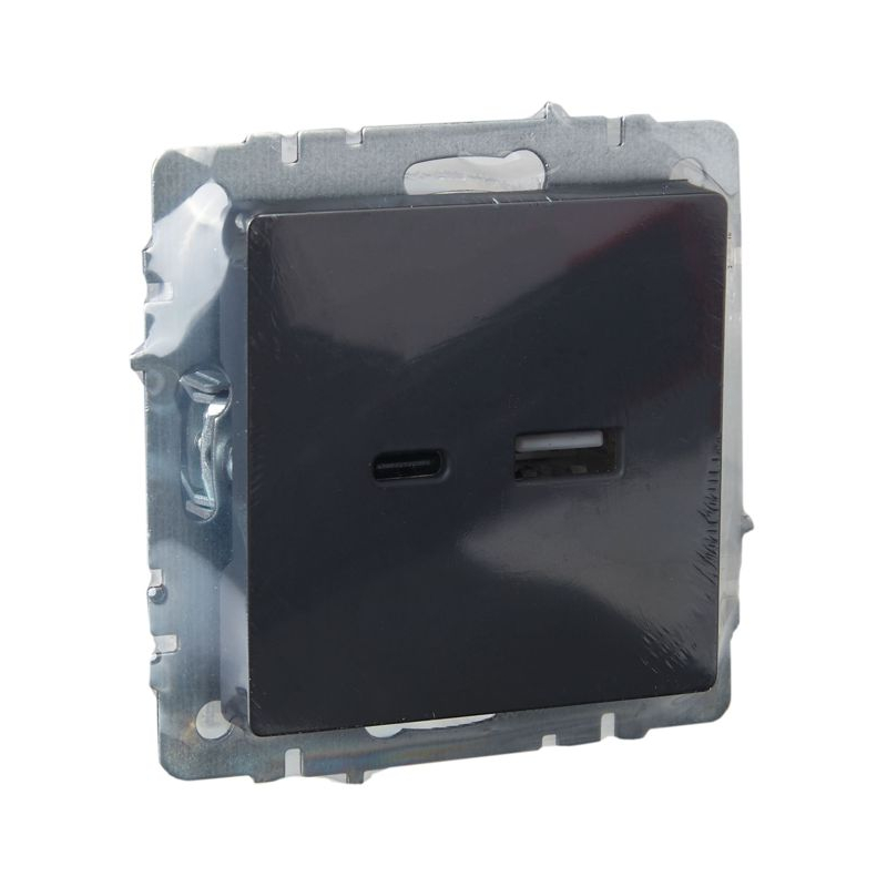 BRITE Розетка USB A+C 18Вт РЮ11-1-БрГ графит IEK