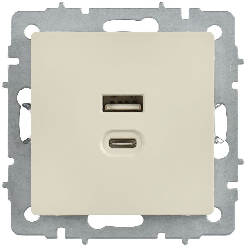 BRITE Розетка USB A+C 45Вт высокоскоростная зарядка РЮ11-2-БрКр бежевый IEK