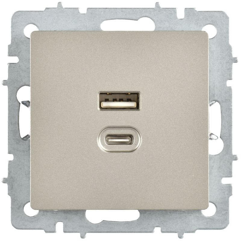 BRITE Розетка USB A+C 45Вт высокоскоростная зарядка РЮ11-2-БрШ шампань IEK