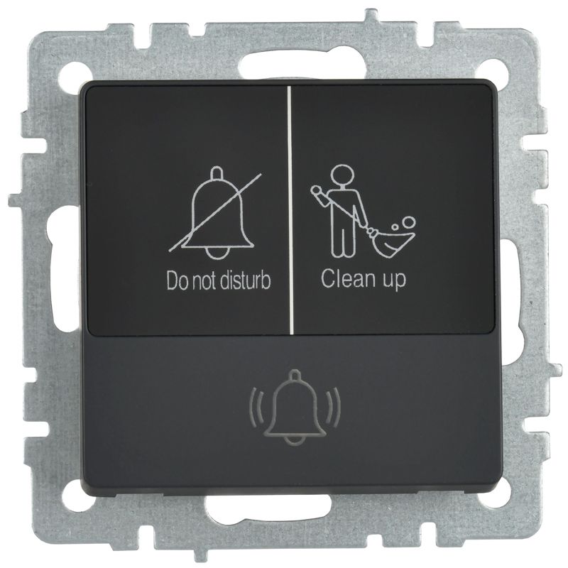 BRITE Кнопка звонка с индикацией для отелей 10А ВС10-1-9-БрГ графит IEK