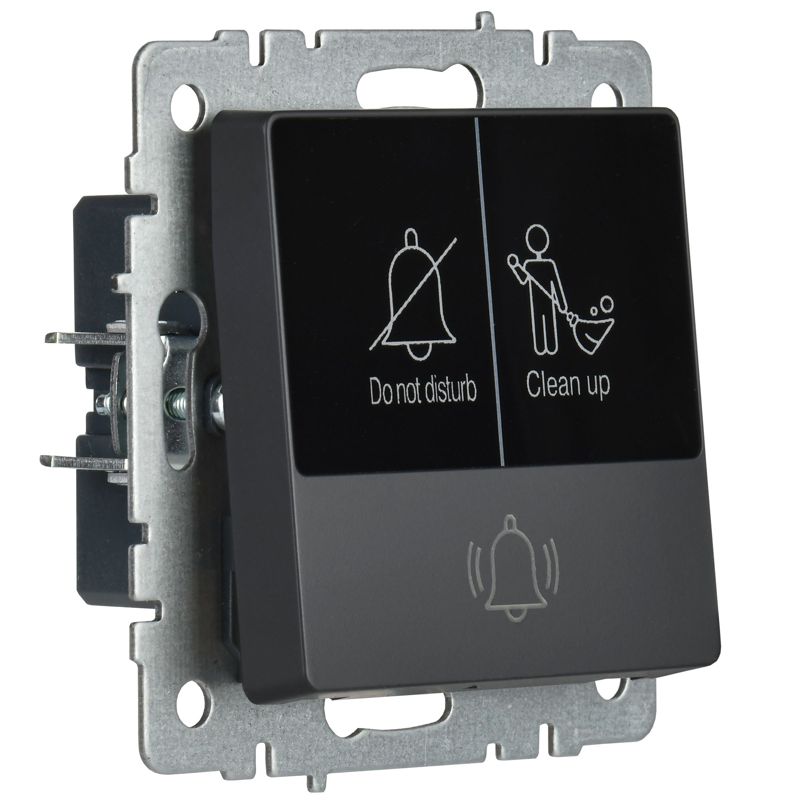 BRITE Кнопка звонка с индикацией для отелей 10А ВС10-1-9-БрГ графит IEK