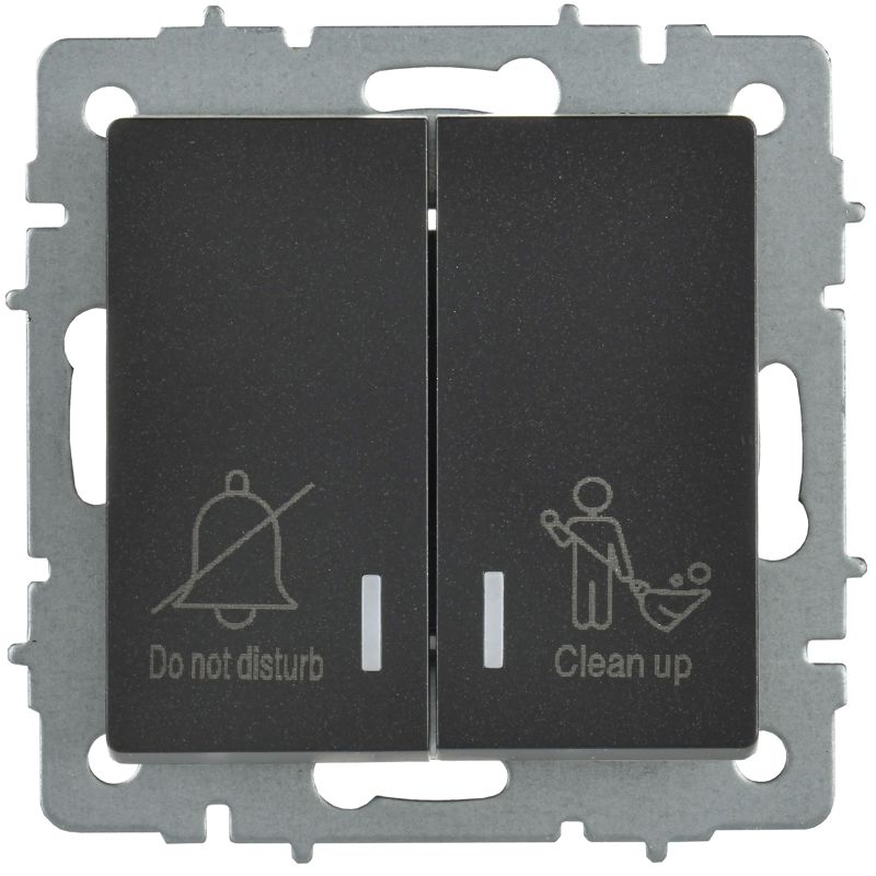 BRITE Выключатель 2-клавишный с индикацией для отелей 10А ВС10-2-9-БрЧ черный IEK